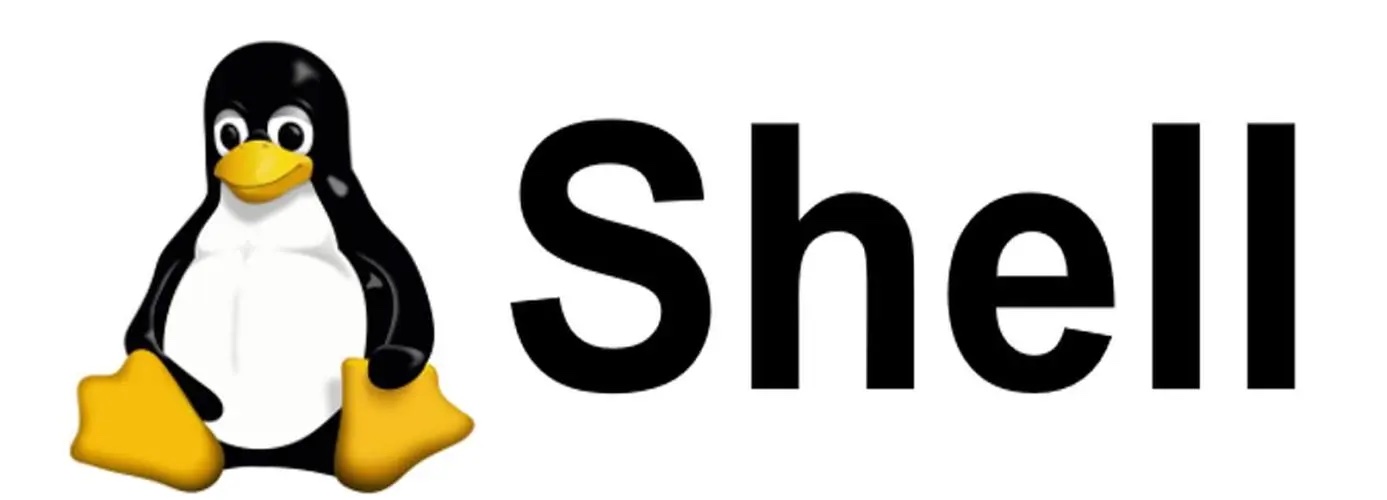 Shell 中的 : > , >> , < , <<,<<< ,1>,2>,&>,|